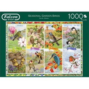 Falcon (11157) - "Seasonal Garden Birds" - 1000 pieces puzzle