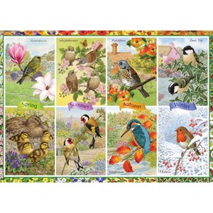 Falcon (11157) - "Seasonal Garden Birds" - 1000 pieces puzzle