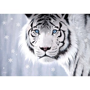 Anatolian (3613) - Jon Rattenbury: "Crystal Eyes" - 500 pieces puzzle