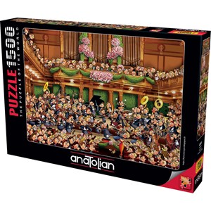 Anatolian (4551) - François Ruyer: "Concert" - 1500 pieces puzzle