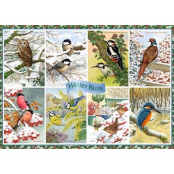 Falcon (11234) - Anne Searle: "Winter Birds" - 1000 pieces puzzle
