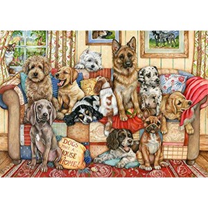 Falcon (11293) - "Gathering on The Couch" - 1000 pieces puzzle