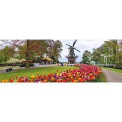 Jumbo (18517) - "De Keukenhof, Holland" - 1000 pieces puzzle