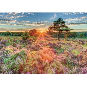 Jumbo (18524) - "Heather at Sunset" - 500 pieces puzzle