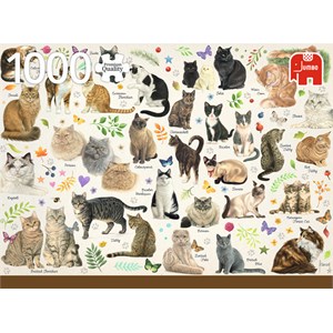 Jumbo (18595) - Francien van Westering: "Cats Poster" - 1000 pieces puzzle