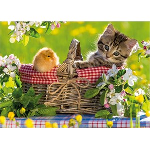 Jumbo (18801) - "Ready for a Picnic" - 500 pieces puzzle