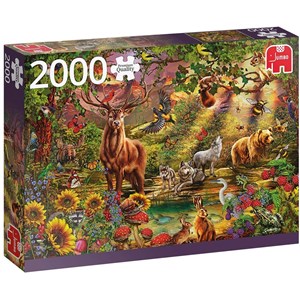 Jumbo (18868) - "Magic Forest at Sunset" - 2000 pieces puzzle