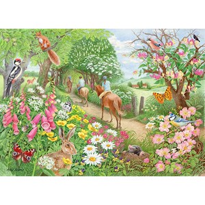 Falcon (11288) - Anne Searle: "An Afternoon Hack" - 1000 pieces puzzle