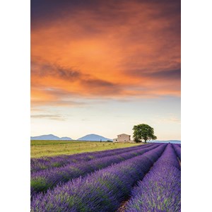 Schmidt Spiele (58364) - "Field of Lavender, Provence" - 500 pieces puzzle