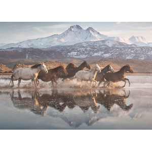 Schmidt Spiele (58376) - "Horses in Cappadocia" - 1000 pieces puzzle