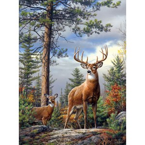 Buffalo Games (11155) - Hautman Brothers: "Standing Proud" - 1000 pieces puzzle