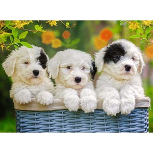 Ravensburger (12765) - "Cuddly Puppies" - 200 pieces puzzle