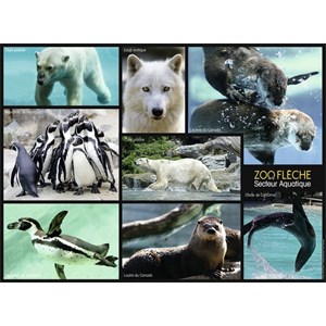 Nathan (86870) - "Animals of the Zoo" - 250 pieces puzzle