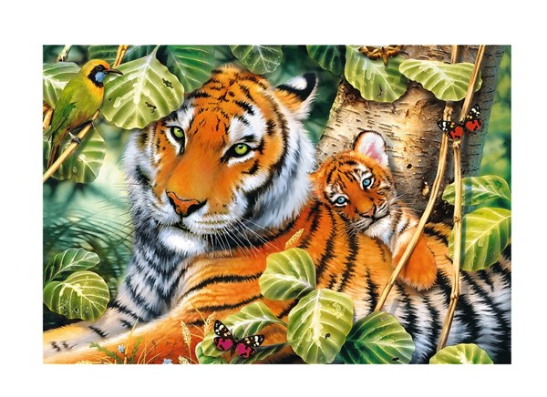 Trefl (26159) - "Two Tigers" - 1500 pieces puzzle
