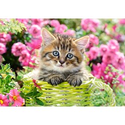 Castorland (B-52974) - "Kitten in Flower Garden" - 500 pieces puzzle