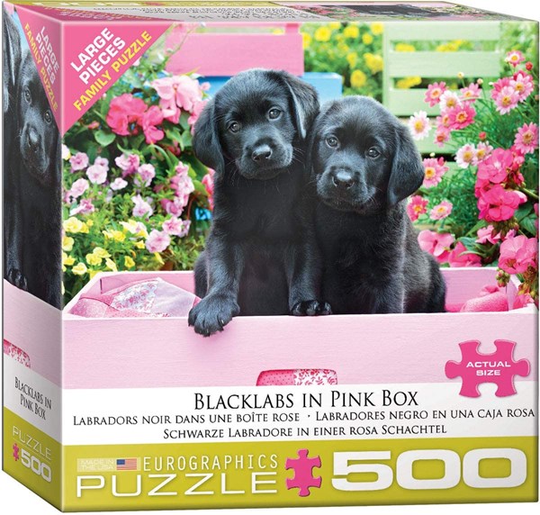 Eurographics (8500-5462) - "Black Labs in Pink Box" - 500 pieces puzzle