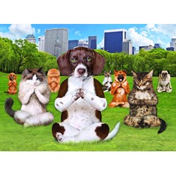 Eurographics (8300-5455) - "Yoga Park" - 300 pieces puzzle