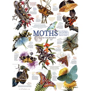 Cobble Hill (80016) - Carl Brenders: "Moth Collection" - 1000 pieces puzzle