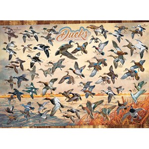 Cobble Hill (80263) - David A. Maass: "Ducks of North America" - 1000 pieces puzzle