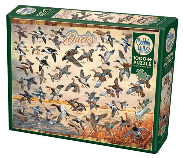Cobble Hill (80263) - David A. Maass: "Ducks of North America" - 1000 pieces puzzle