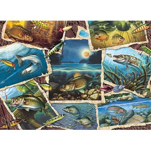 Cobble Hill (80209) - Jon Q. Wright: "Fish Pics" - 1000 pieces puzzle