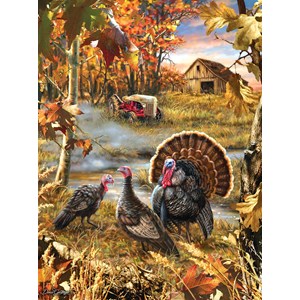 SunsOut (57168) - Dona Gelsinger: "Turkey Ranch" - 1000 pieces puzzle