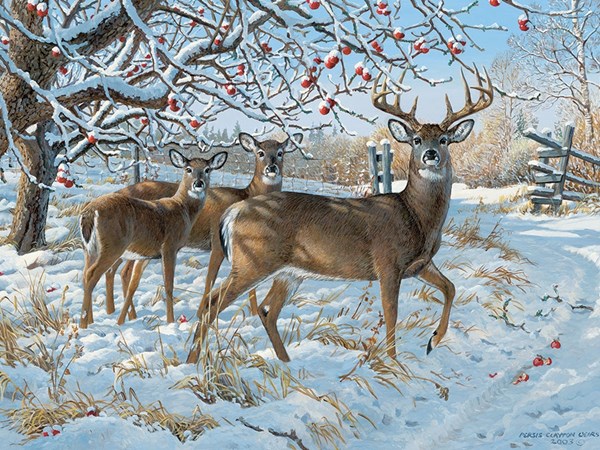 Cobble Hill (57196) - Persis Clayton Weirs: "Winter Deer" - 1000 pieces puzzle