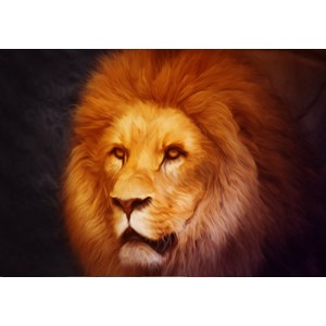 Grafika (01486) - "Lion" - 1000 pieces puzzle