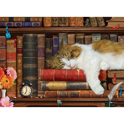 Eurographics (8500-5545) - "The Cat Nap" - 500 pieces puzzle