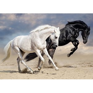 Nathan (87791) - "Wild Gallop" - 1500 pieces puzzle