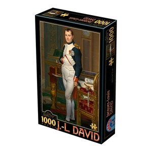 D-Toys (75000) - Jacques-Louis David: "The Emperor Napoleon in his study at the Tuileries, 1812" - 1000 pieces puzzle