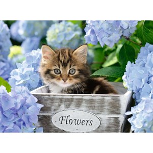Ravensburger (12894) - "Little Kitten" - 300 pieces puzzle