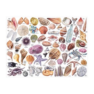 eeBoo (M57051) - "The Beachcomber's Companion" - 1000 pieces puzzle