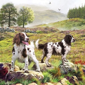 Otter House Puzzle (74132) - "Spaniels On The Moor" - 1000 pieces puzzle