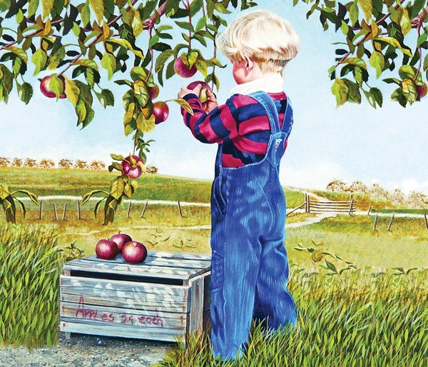 SunsOut (26282) - Patricia Bourque: "Apple Picking" - 550 pieces puzzle