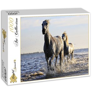 Grafika (01693) - "Horses" - 1000 pieces puzzle