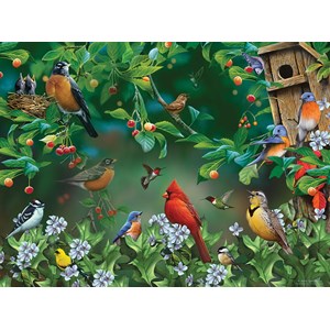 SunsOut (49054) - Jerry Gadamus: "Bird Festival" - 1000 pieces puzzle