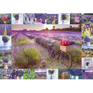 Schmidt Spiele (59634) - Assaf Frank: "The Scent of Lavender" - 1000 pieces puzzle