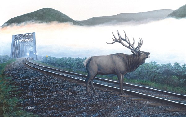 SunsOut (48856) - Dan Christ: "Elk Tracks" - 550 pieces puzzle