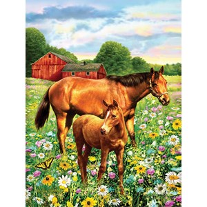 SunsOut (37174) - Greg Giordano: "Mare and Foal" - 500 pieces puzzle