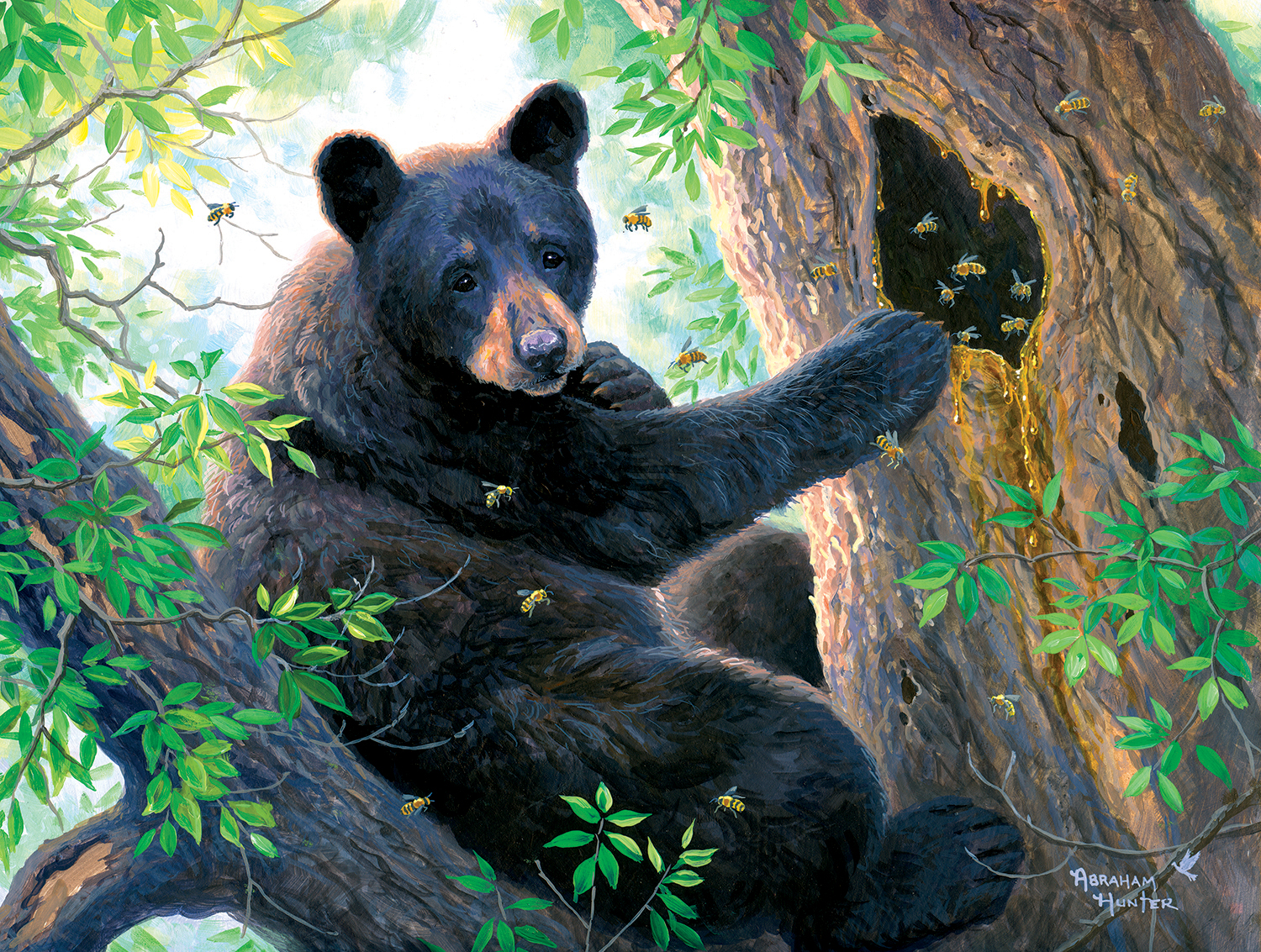 Castorland 52677 500 Pièces Puzzle Bear on the Meadow 