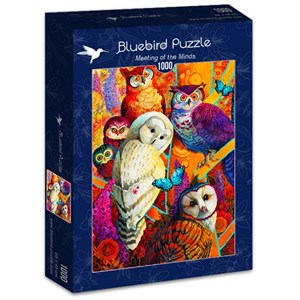 Bluebird Puzzle (70279) - David Galchutt: "Meeting of the Minds" - 1000 pieces puzzle