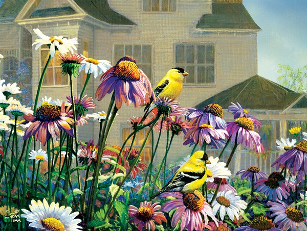 SunsOut (29040) - Sam Timm: "Colors" - 1000 pieces puzzle