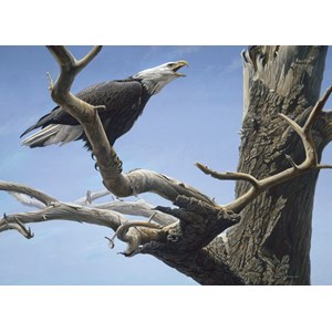 Cobble Hill (85059) - Robert Bateman: "Call of the Wild" - 500 pieces puzzle