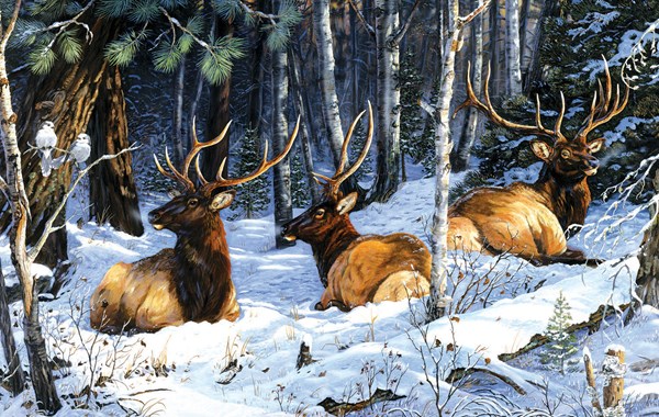 King International (71236) - Terry Doughty: "Full House Three Kings Two Jacks" - 550 pieces puzzle