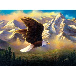 SunsOut (69636) - Abraham Hunter: "Flying High" - 1000 pieces puzzle