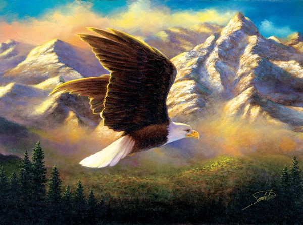 SunsOut (69636) - Abraham Hunter: "Flying High" - 1000 pieces puzzle