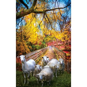 SunsOut (30136) - Celebrate Life Gallery: "Sheep Crossing" - 550 pieces puzzle