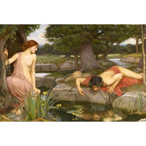 D-Toys (75048) - John William Waterhouse: "Echo and Narcissus" - 1000 pieces puzzle