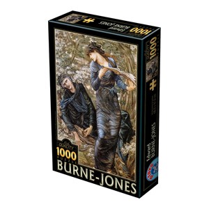 D-Toys (75024) - Edward Burne-Jones: "The Beguiling of Merlin, 1872-1877" - 1000 pieces puzzle